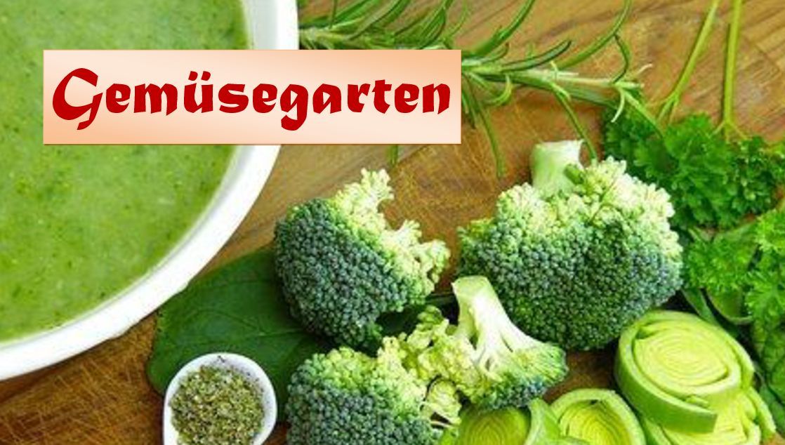 Gemüsegarten